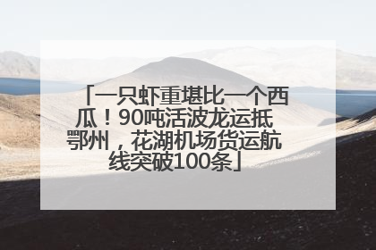 一只虾重堪比一个西瓜！90吨活波龙运抵鄂州，花湖机场货运航线突破100条