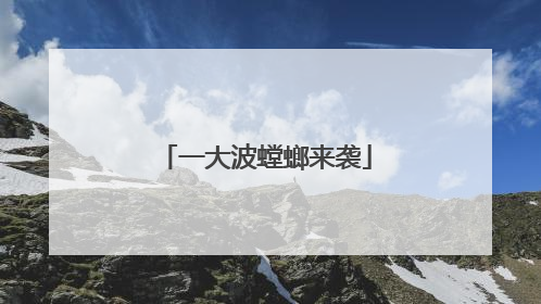 一大波螳螂来袭