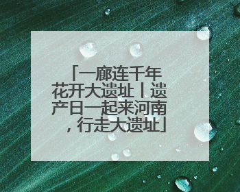 一廊连千年 花开大遗址丨遗产日一起来河南，行走大遗址