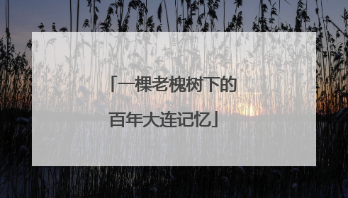 一棵老槐树下的百年大连记忆