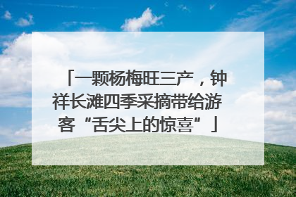 一颗杨梅旺三产，钟祥长滩四季采摘带给游客“舌尖上的惊喜”