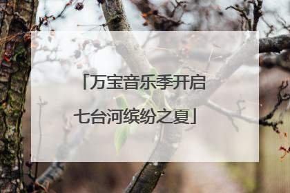 万宝音乐季开启七台河缤纷之夏