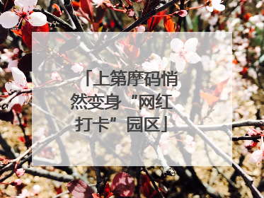 上第摩码悄然变身“网红打卡”园区