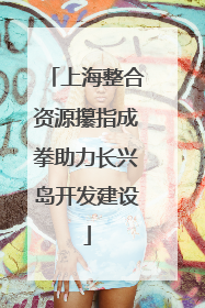 上海整合资源攥指成拳助力长兴岛开发建设