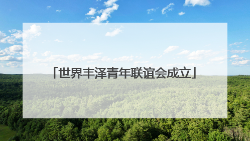 世界丰泽青年联谊会成立