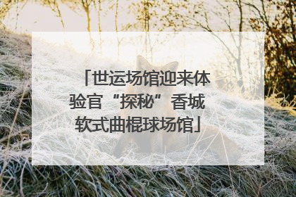 世运场馆迎来体验官“探秘”香城软式曲棍球场馆