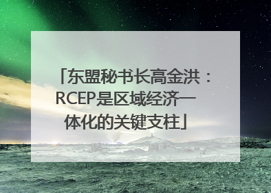 东盟秘书长高金洪：RCEP是区域经济一体化的关键支柱
