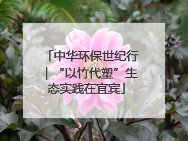 中华环保世纪行｜“以竹代塑”生态实践在宜宾