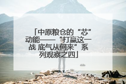 中原粮仓的“芯”动能——“打赢这一战 底气从何来”系列观察之四