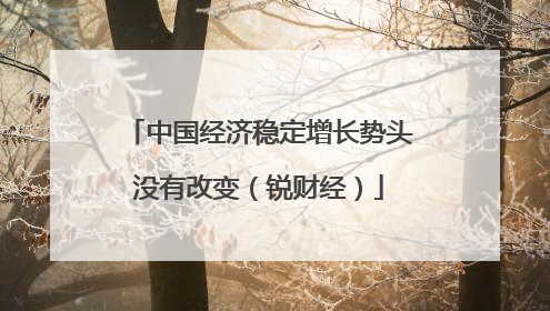 中国经济稳定增长势头没有改变（锐财经）