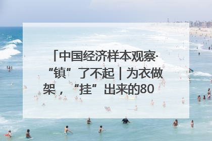 中国经济样本观察·“镇”了不起｜为衣做架，“挂”出来的80亿元“衣架产业”