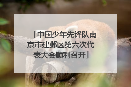 中国少年先锋队南京市建邺区第六次代表大会顺利召开