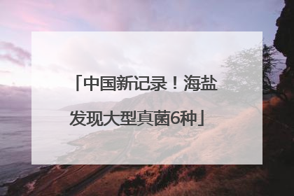 中国新记录！海盐发现大型真菌6种
