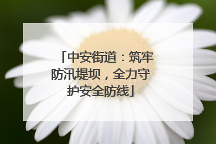 中安街道：筑牢防汛堤坝，全力守护安全防线