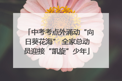 中考考点外涌动“向日葵花海” 全家总动员迎接“凯旋”少年