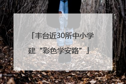 丰台近30所中小学建“彩色学安路”