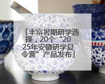 丰富暑期研学选择，20个“2025年安徽研学夏令营”产品发布