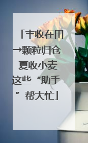 丰收在田→颗粒归仓 夏收小麦这些“助手”帮大忙