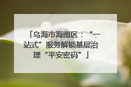 乌海市海南区：“一站式”服务解锁基层治理“平安密码”