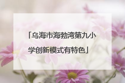 乌海市海勃湾第九小学创新模式有特色
