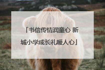 书信传情润童心 新城小学成长礼暖人心