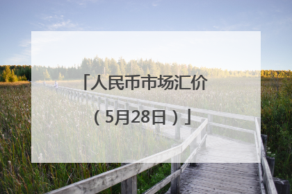 人民币市场汇价（5月28日）