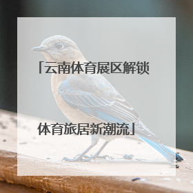 云南体育展区解锁体育旅居新潮流