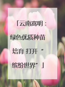 云南嵩明：绿色优质种苗培育 打开“缤纷世界”