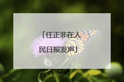 任正非在人民日报发声