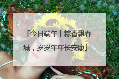 今日端午丨粽香飘春城，岁岁年年长安康