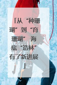 从“种珊瑚”到“育珊瑚” 海底“造林”有了新进展