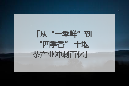 从“一季鲜”到“四季香” 十堰茶产业冲刺百亿
