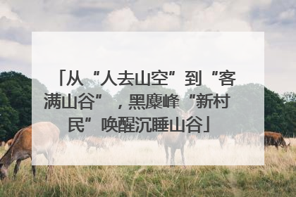 从“人去山空”到“客满山谷”，黑麋峰“新村民”唤醒沉睡山谷