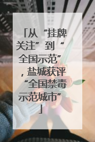 从“挂牌关注”到“全国示范”，盐城获评“全国禁毒示范城市”