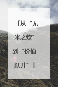 从“无米之炊”到“价值跃升”