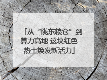 从“陇东粮仓”到算力高地 这块红色热土焕发新活力