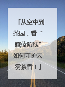 从空中到茶园，看“藏蓝防线”如何守护云雾茶香！