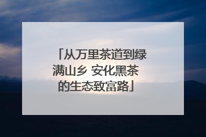 从万里茶道到绿满山乡 安化黑茶的生态致富路