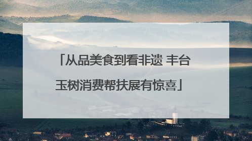 从品美食到看非遗 丰台玉树消费帮扶展有惊喜