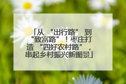 从 “出行路” 到 “致富路”！枣庄打造 “四好农村路”，串起乡村振兴新图景