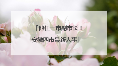 他任一市副市长！安徽四市最新人事
