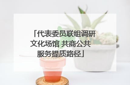 代表委员联组调研文化场馆 共商公共服务提质路径