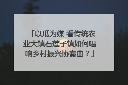 以瓜为媒 看传统农业大镇石莲子镇如何唱响乡村振兴协奏曲？