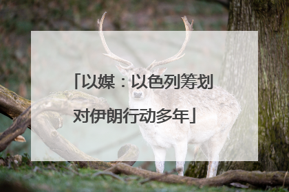 以媒：以色列筹划对伊朗行动多年