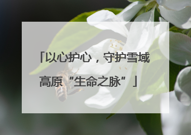 以心护心，守护雪域高原“生命之脉”