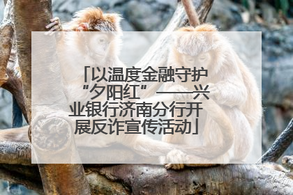 以温度金融守护“夕阳红”——兴业银行济南分行开展反诈宣传活动