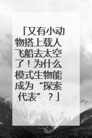 又有小动物搭上载人飞船去太空了！为什么模式生物能成为“探索代表”？