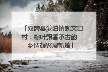 双牌县泷泊镇观文口村：粽叶飘香承古韵 乡情凝聚展新篇