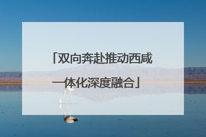 双向奔赴推动西咸一体化深度融合