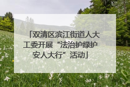 双清区滨江街道人大工委开展“法治护绿护安人大行”活动